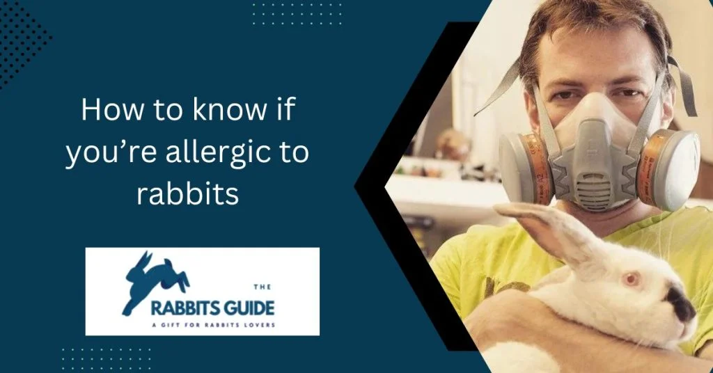 Hypoallergenic Bunnies: A Solution Allergic Pet 2 How to know if you’re allergic to rabbits