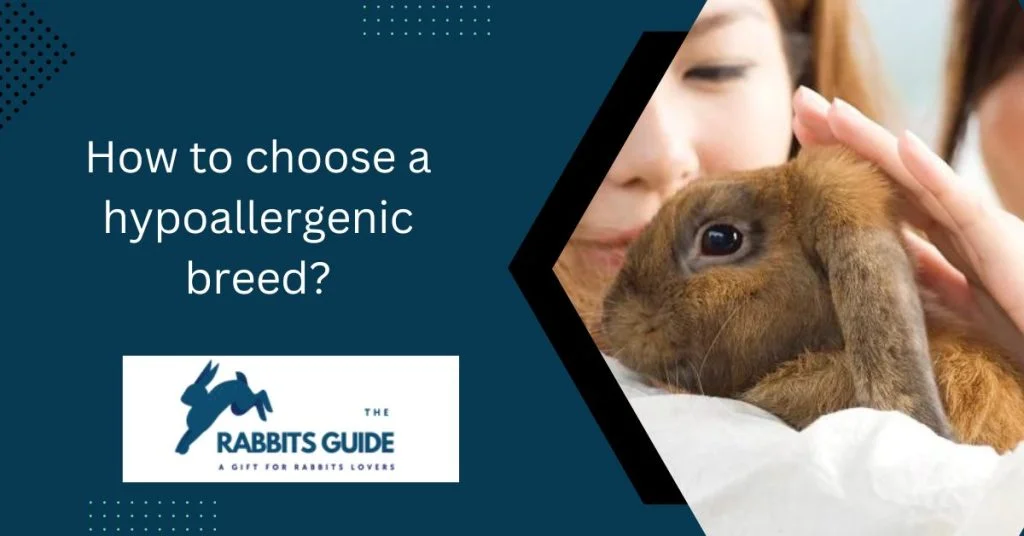 Hypoallergenic Bunnies: A Solution Allergic Pet 3 How to choose a hypoallergenic breed?