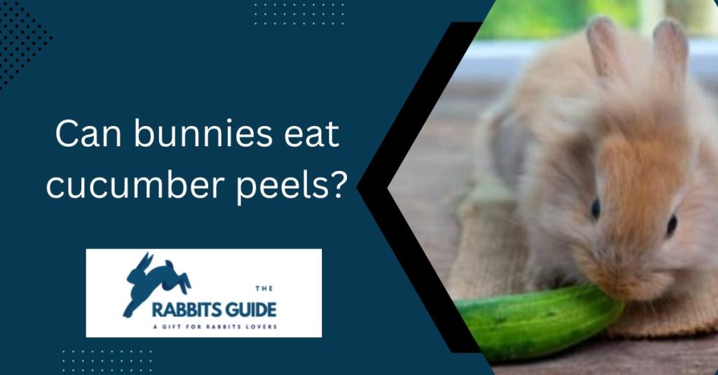 Can bunnies eat cucumber peels?|The Top 5 Ways 1 Can bunnies eat cucumber peels?