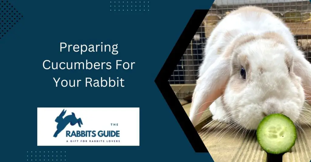 Can bunnies eat cucumber peels?|The Top 5 Ways 2 Preparing Cucumbers For Your Rabbit