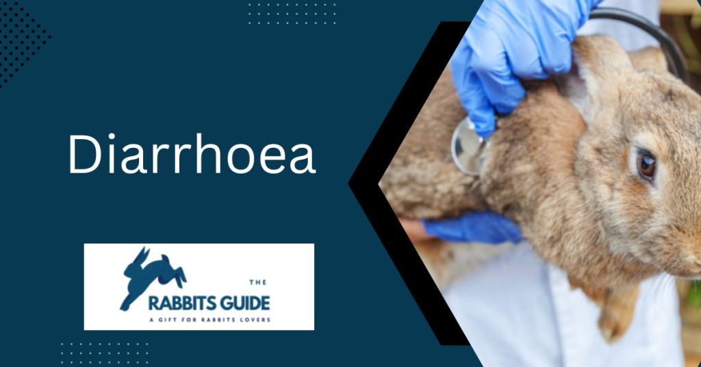 Can bunnies eat cucumber peels?|The Top 5 Ways 7 Diarrhoea