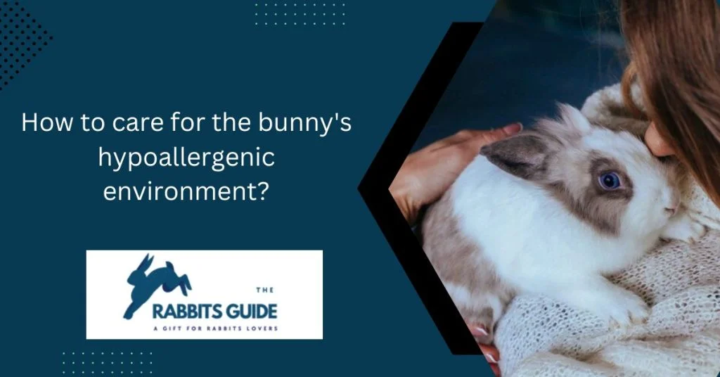 Hypoallergenic Bunnies: A Solution Allergic Pet 7 How to care for the bunny's hypoallergenic environment?