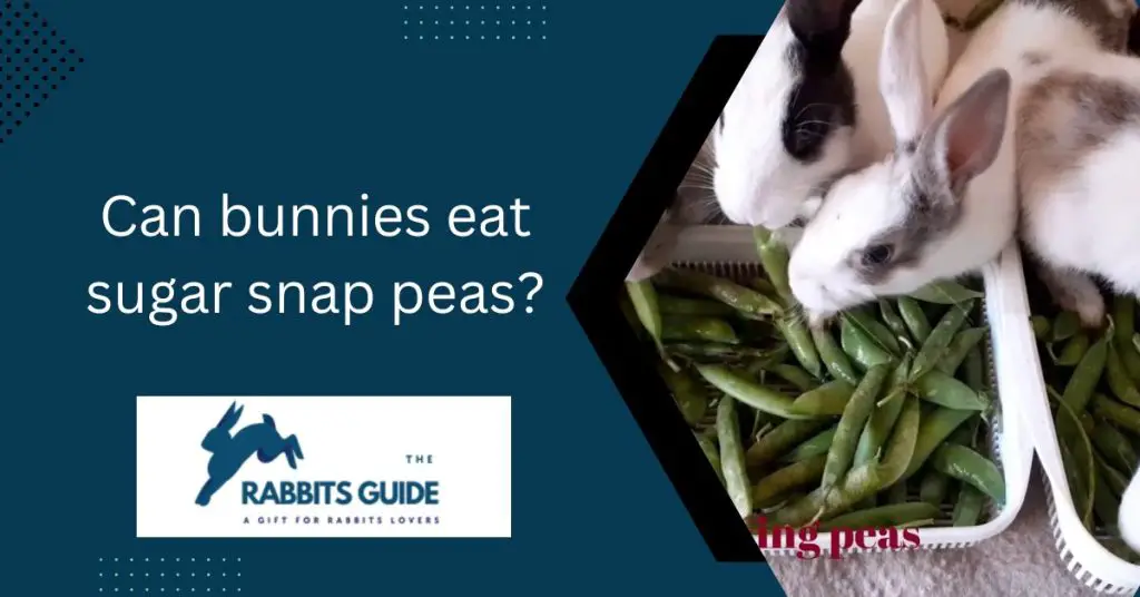 Can bunnies eat sugar snap peas?
