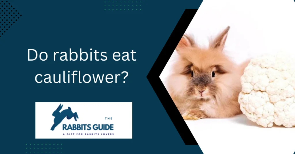 Do rabbits eat cauliflower?|Branches, leaves, and stalks 1 Do rabbits eat cauliflower?