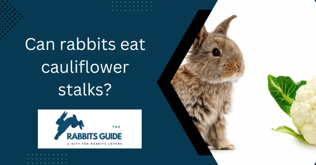 Do rabbits eat cauliflower?|Branches, leaves, and stalks 2 Can rabbits eat cauliflower stalks?