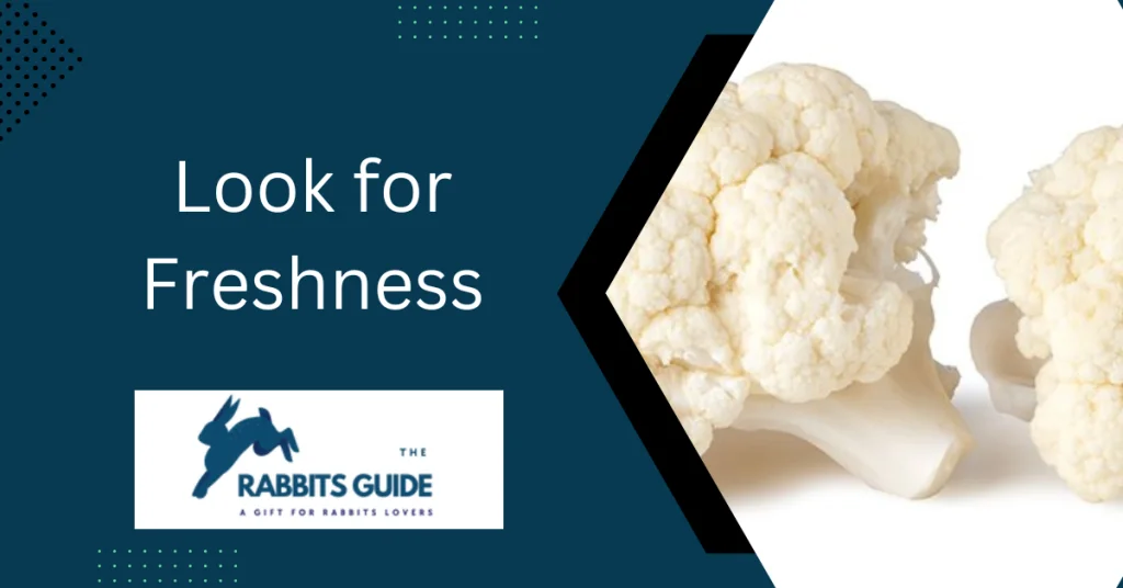 Do rabbits eat cauliflower?|Branches, leaves, and stalks 3 Look for Freshness