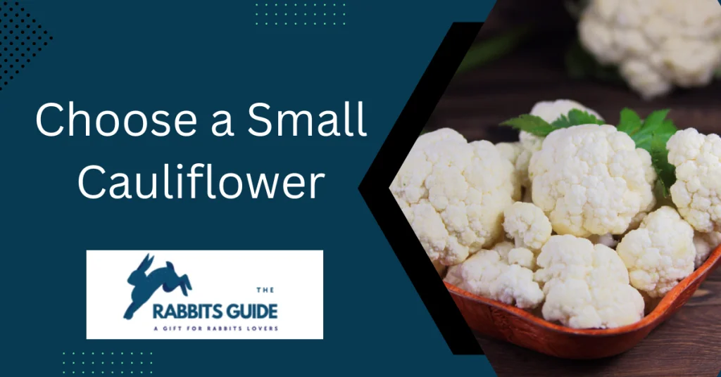 Do rabbits eat cauliflower?|Branches, leaves, and stalks 4 Choose a Small Cauliflower
