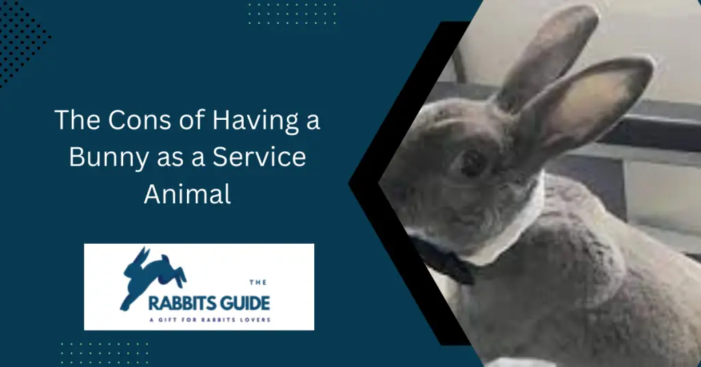 Can A Bunny Be A Service Animal? The Pros And Cons (July 2024)