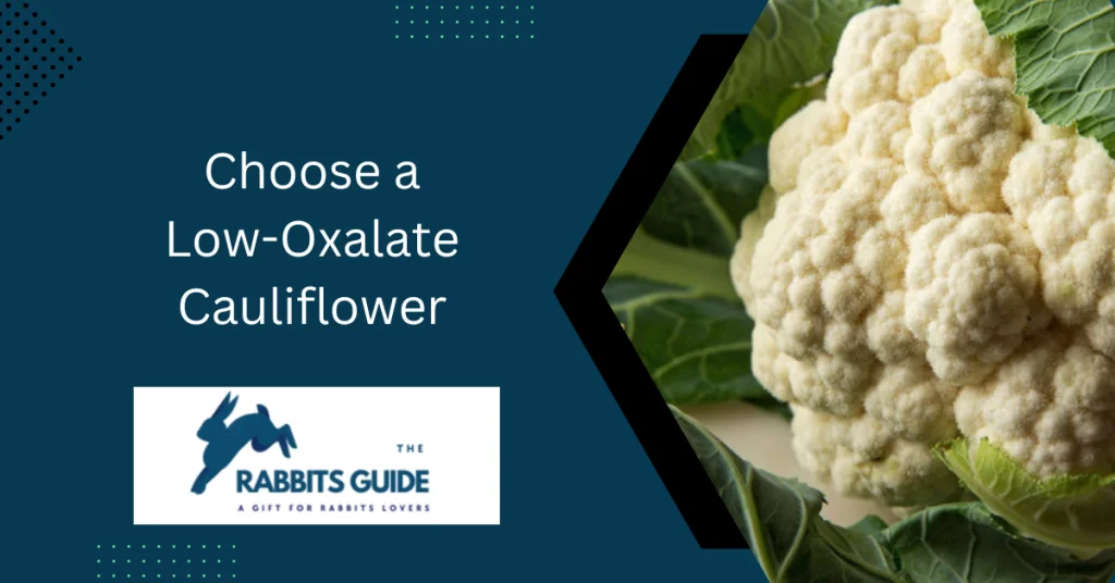 Do rabbits eat cauliflower?|Branches, leaves, and stalks 7 Choose a Low-Oxalate Cauliflower