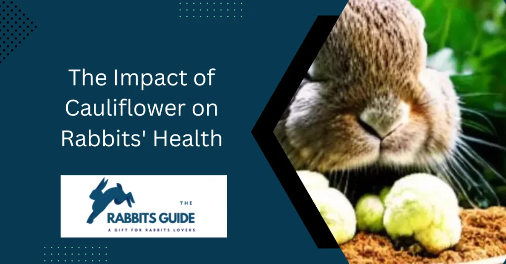 Do rabbits eat cauliflower?|Branches, leaves, and stalks 8 The Impact of Cauliflower on Rabbits' Health