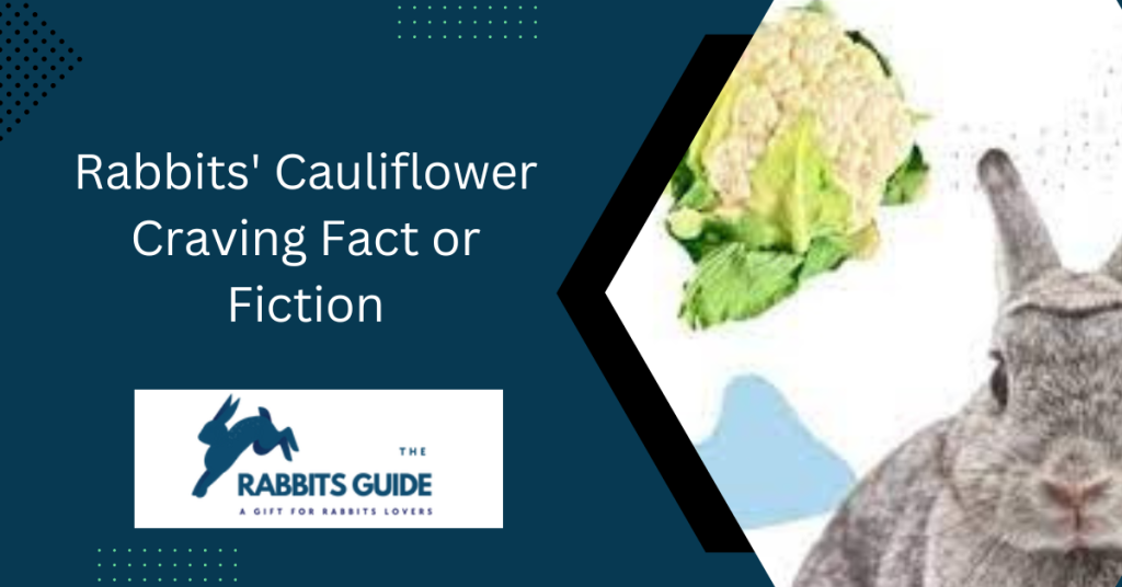 Do rabbits eat cauliflower?|Branches, leaves, and stalks 9 Rabbits' Cauliflower Craving Fact or Fiction