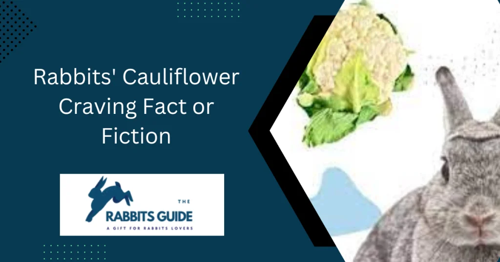 Do rabbits eat cauliflower?|Branches, leaves, and stalks 9 Rabbits' Cauliflower Craving Fact or Fiction
