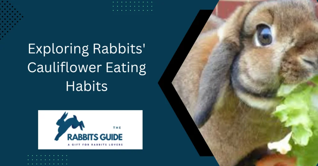Do rabbits eat cauliflower?|Branches, leaves, and stalks 10 Exploring Rabbits' Cauliflower Eating Habits