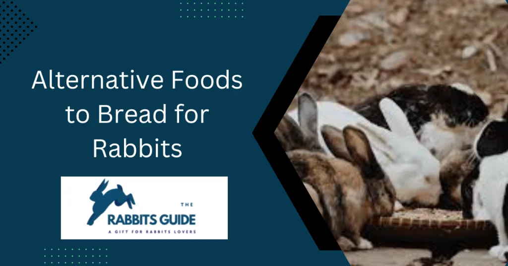 Can Bunnies Eat Bread? A comprehensive guide 6 Alternative Foods to Bread for Rabbits