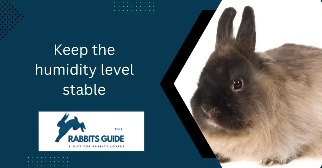 Why Does My Rabbit Keep Shedding _Tips and Tricks 4 Keep the humidity level stable.