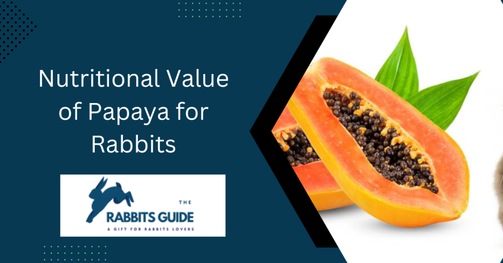 Can Rabbits Eat Papaya? The Expert's Opinion 2 Nutritional Value of Papaya for Rabbits