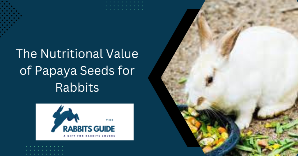Can Rabbits Eat Papaya? The Expert's Opinion 5 The Nutritional Value of Papaya Seeds for Rabbits