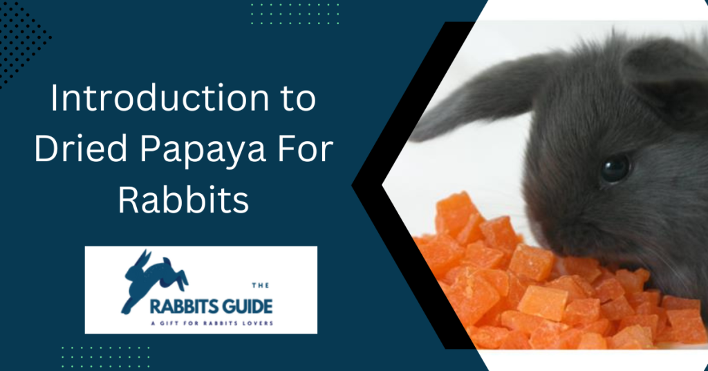 Can Rabbits Eat Papaya? The Expert's Opinion 6 Introduction to Dried Papaya For Rabbits