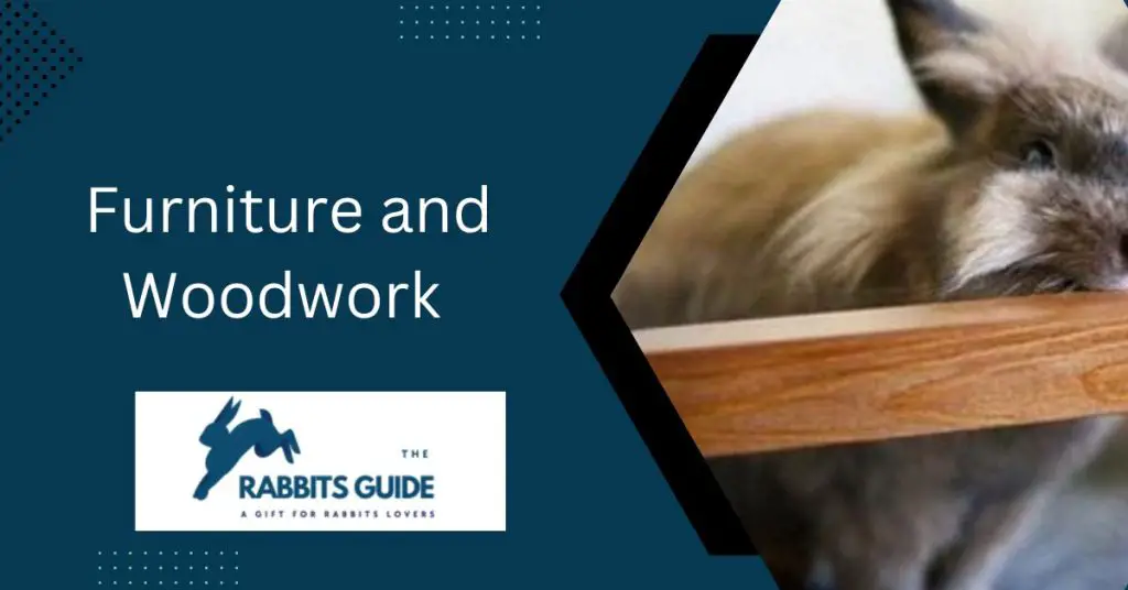 Why Do Rabbits Chew On Everything? Some possible reasons 3 Furniture and Woodwork