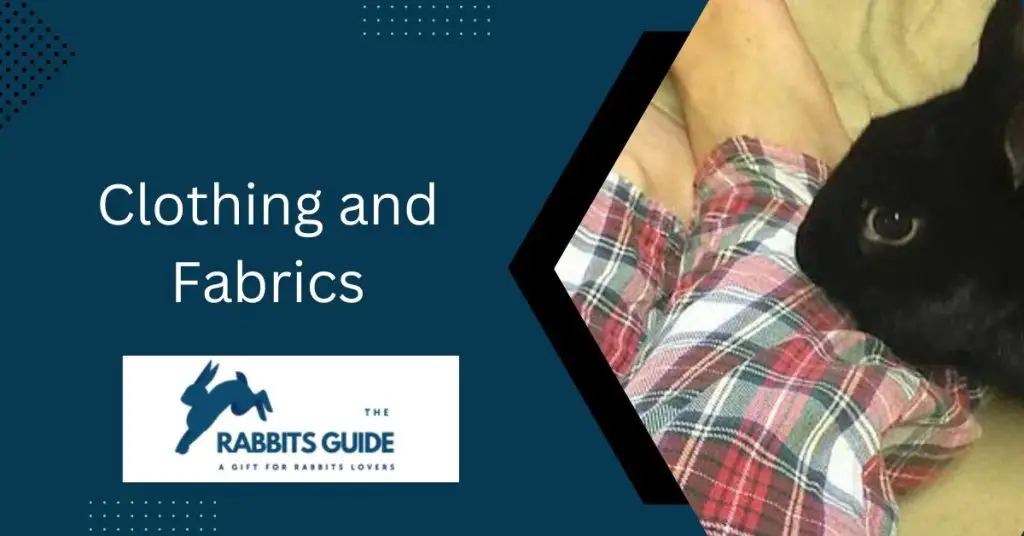 Why Do Rabbits Chew On Everything? Some possible reasons 6 Clothing and Fabrics