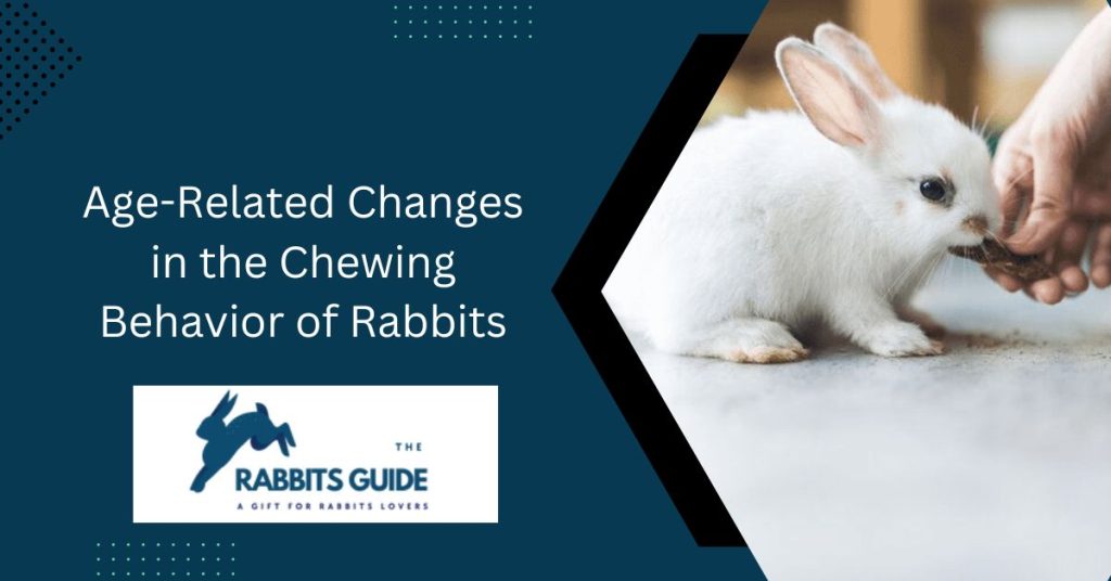 Why Do Rabbits Chew On Everything? Some possible reasons 7 Age-Related Changes in the Chewing Behavior of Rabbits
