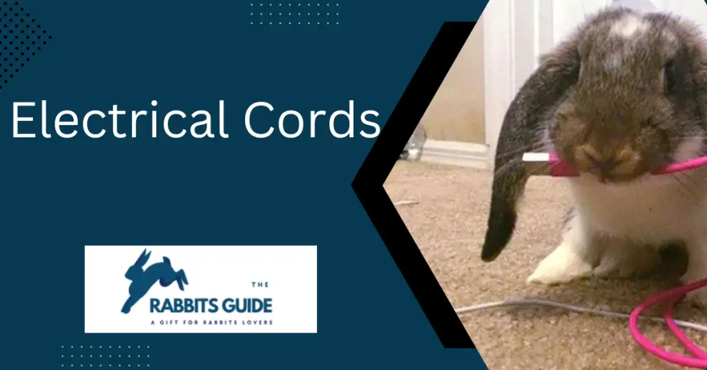 Why Do Rabbits Chew On Everything? Some possible reasons 4 Electrical Cords
