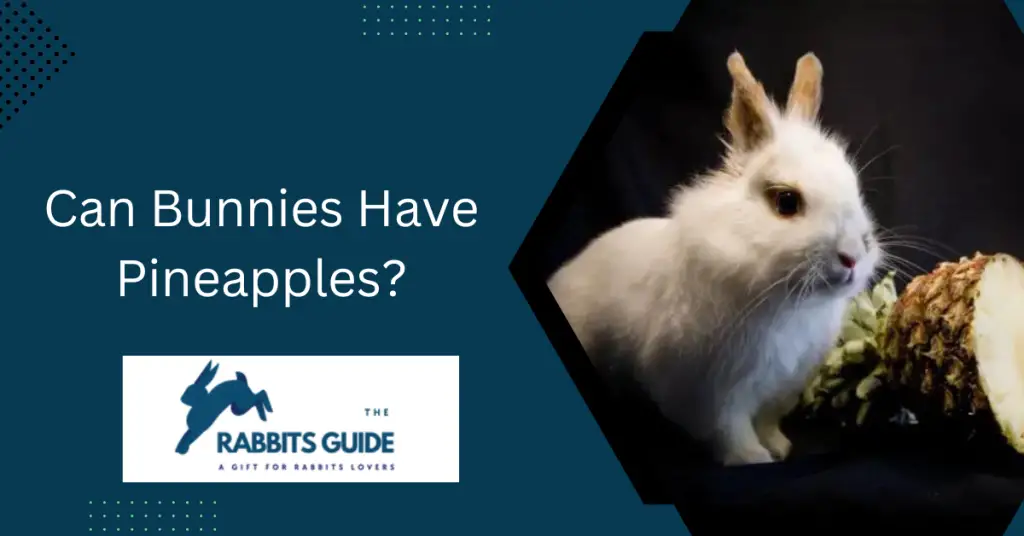 Can Bunnies Have Pineapples?