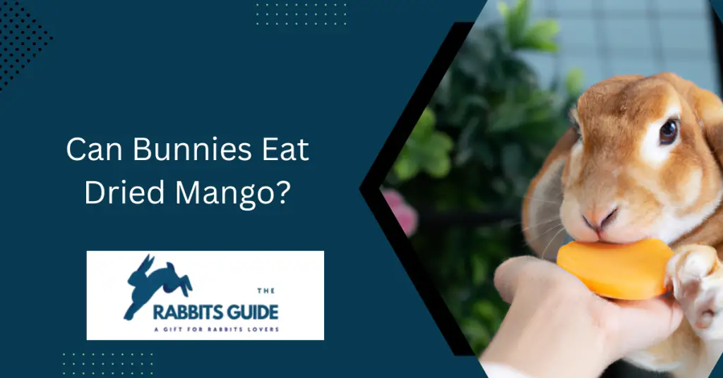 Can Bunnies Eat Dried Mango?