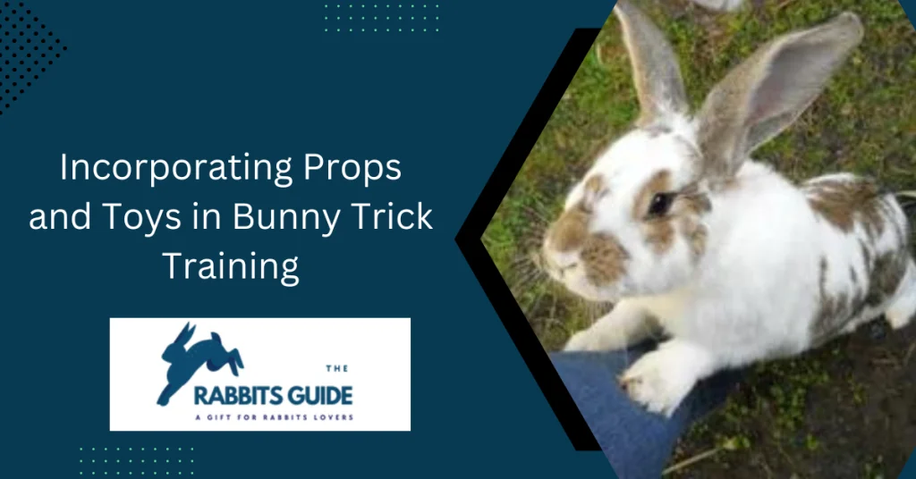 How To Teach A Bunny Tricks? Tips and techniques 10 Incorporating Props and Toys in Bunny Trick Training