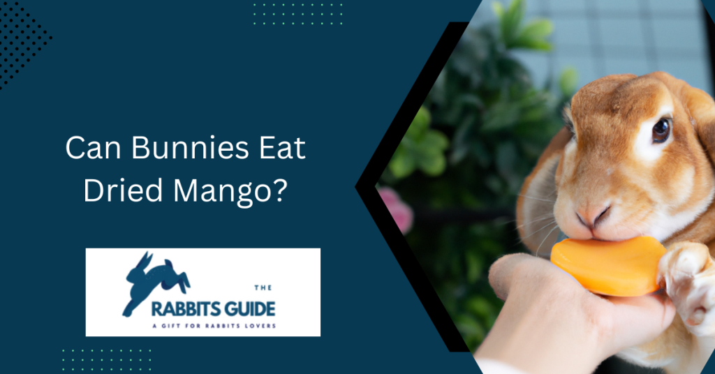 Can Bunnies Eat Dried Mango? 1 Can Bunnies Eat Dried Mango?