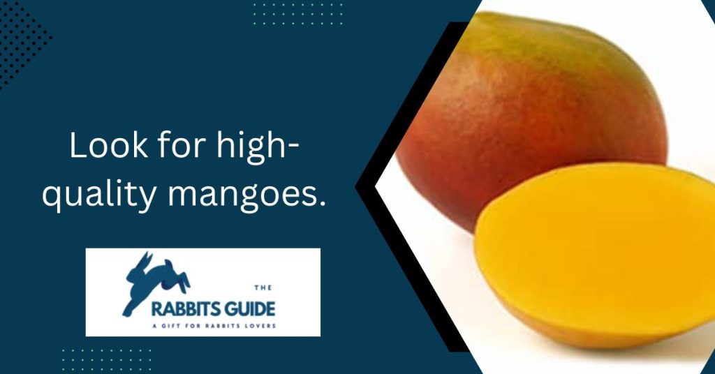 Can Bunnies Eat Dried Mango? 4 Look for high-quality mangoes.