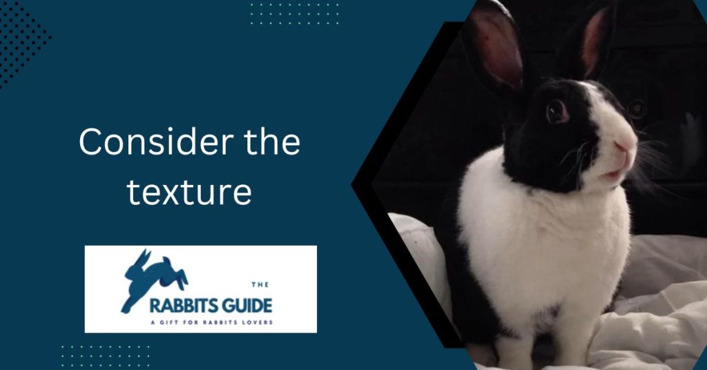 Can Bunnies Eat Dried Mango? 6 Consider the texture