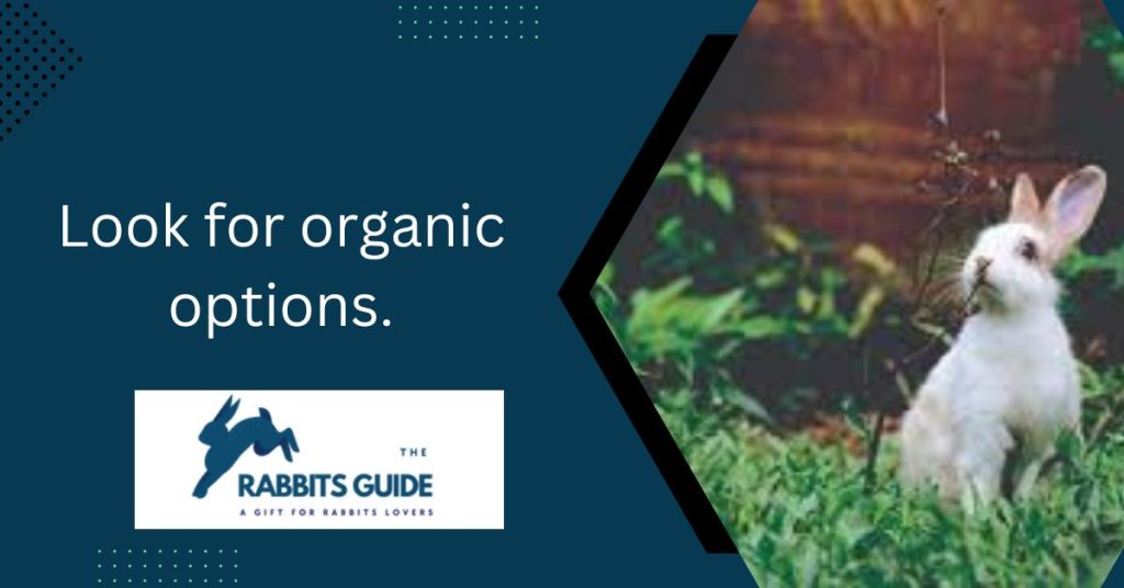 Can Bunnies Eat Dried Mango? 8 Look for organic options.