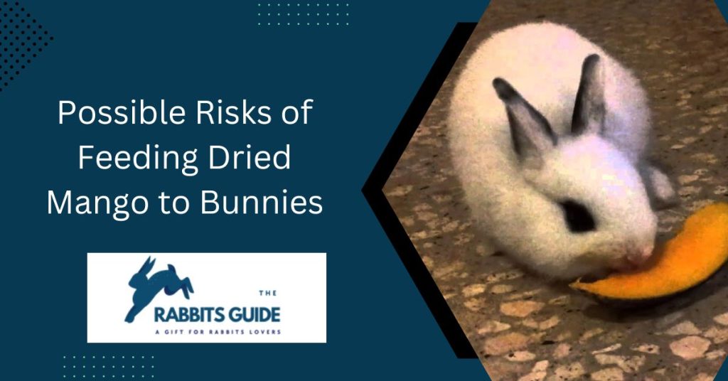 Can Bunnies Eat Dried Mango? 9 Possible Risks of Feeding Dried Mango to Bunnies