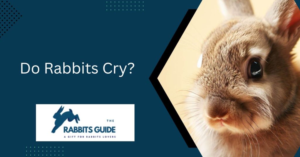 Do Rabbits Cry? Exploring Rabbit Behavior 1 Do Rabbits Cry?