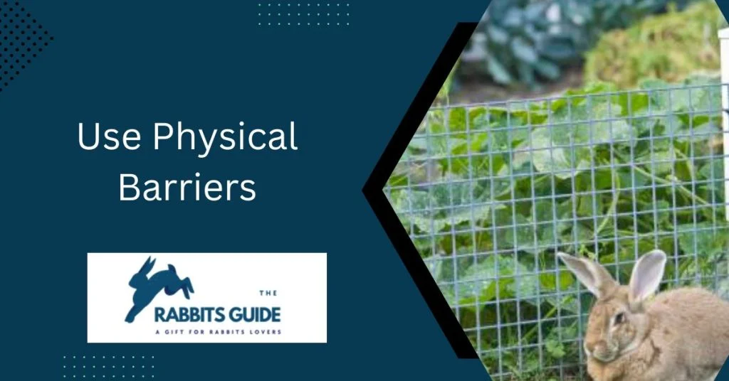 Do Rabbits Eat Watermelon Plants? 2 Use Physical Barriers