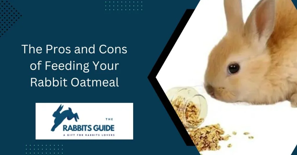 The Ultimate Guide: Can Rabbits Eat Oatmeal? 4 The Pros and Cons of Feeding Your Rabbit Oatmeal