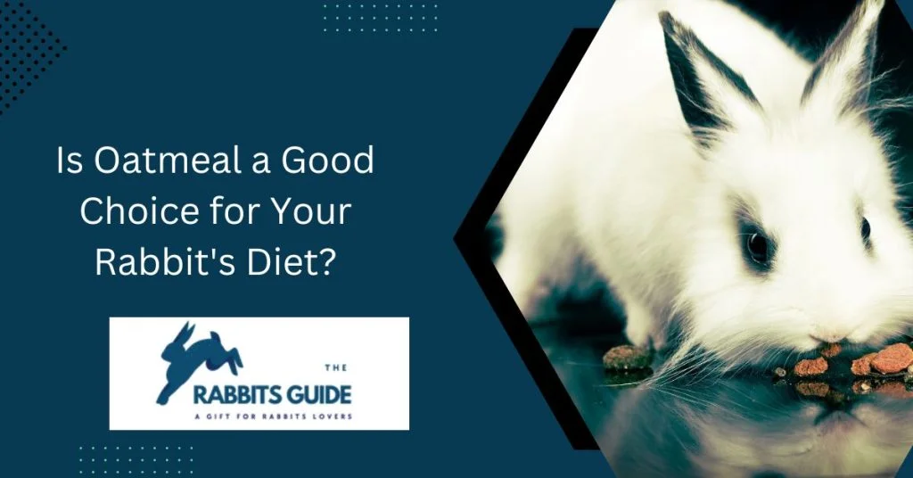 The Ultimate Guide: Can Rabbits Eat Oatmeal? 5 Is Oatmeal a Good Choice for Your Rabbit's Diet?
