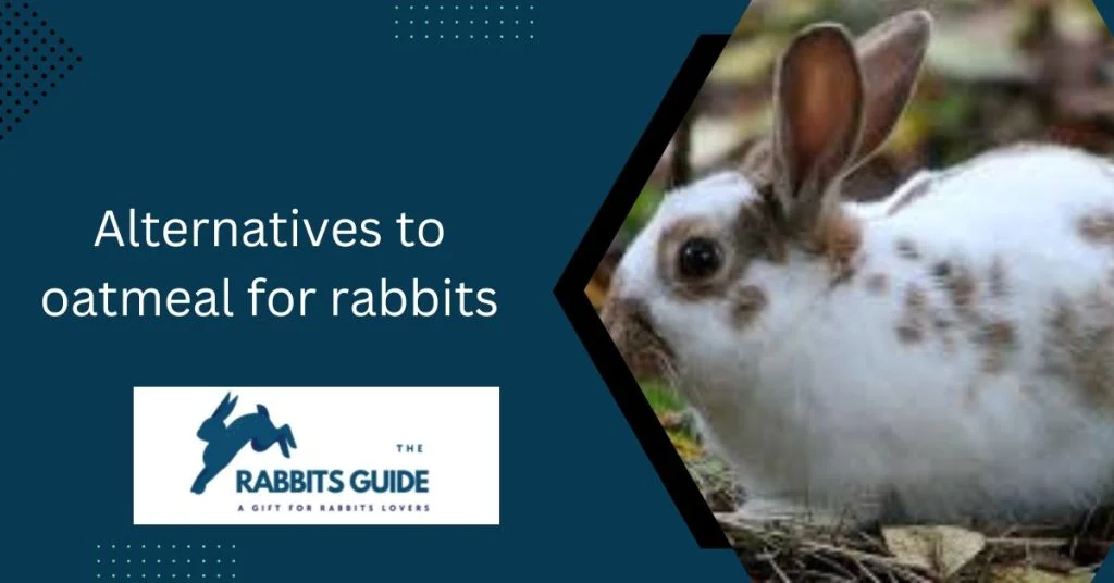 The Ultimate Guide: Can Rabbits Eat Oatmeal? 6 Alternatives to oatmeal for rabbits