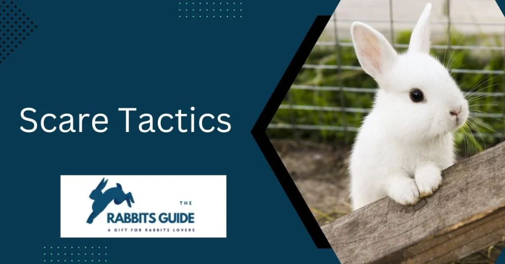 Do Rabbits Eat Watermelon Plants? 5 Scare Tactics