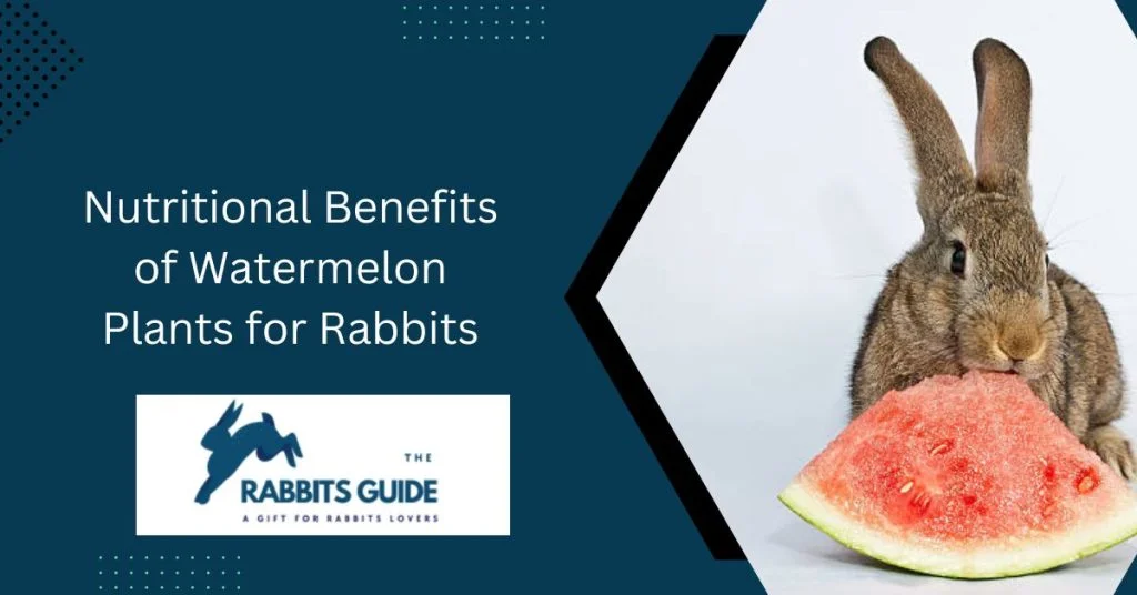 Do Rabbits Eat Watermelon Plants? 6 Nutritional Benefits of Watermelon Plants for Rabbits