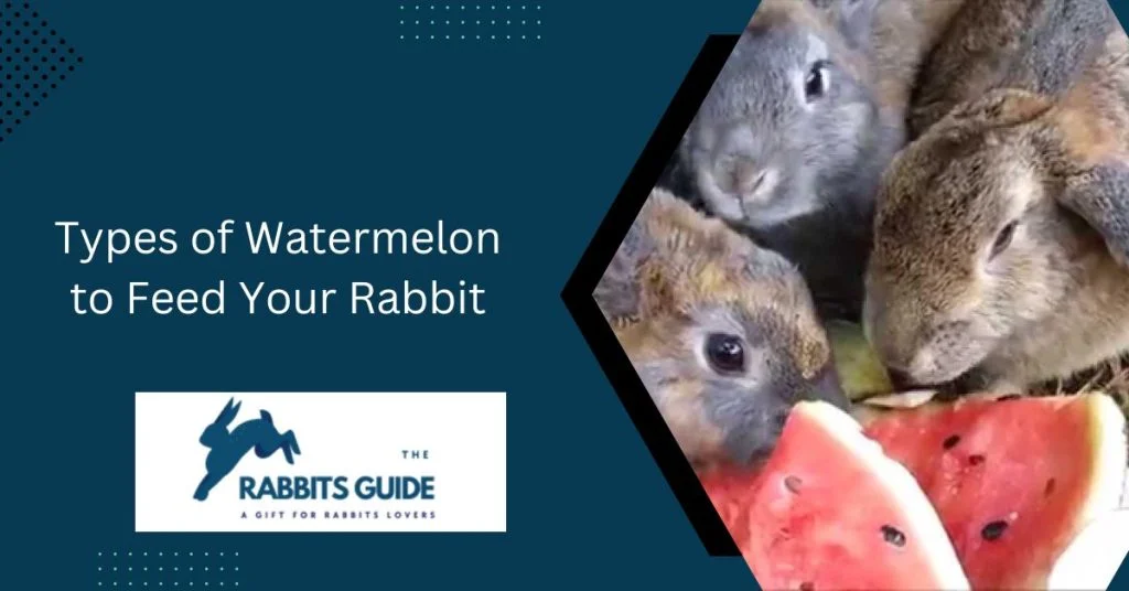 Do Rabbits Eat Watermelon Plants? 7 Types of Watermelon to Feed Your Rabbit