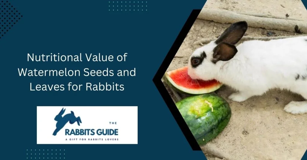 Do Rabbits Eat Watermelon Plants? 8 Nutritional Value of Watermelon Seeds and Leaves for Rabbits