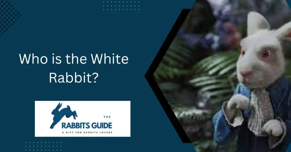 Who is the White Rabbit?