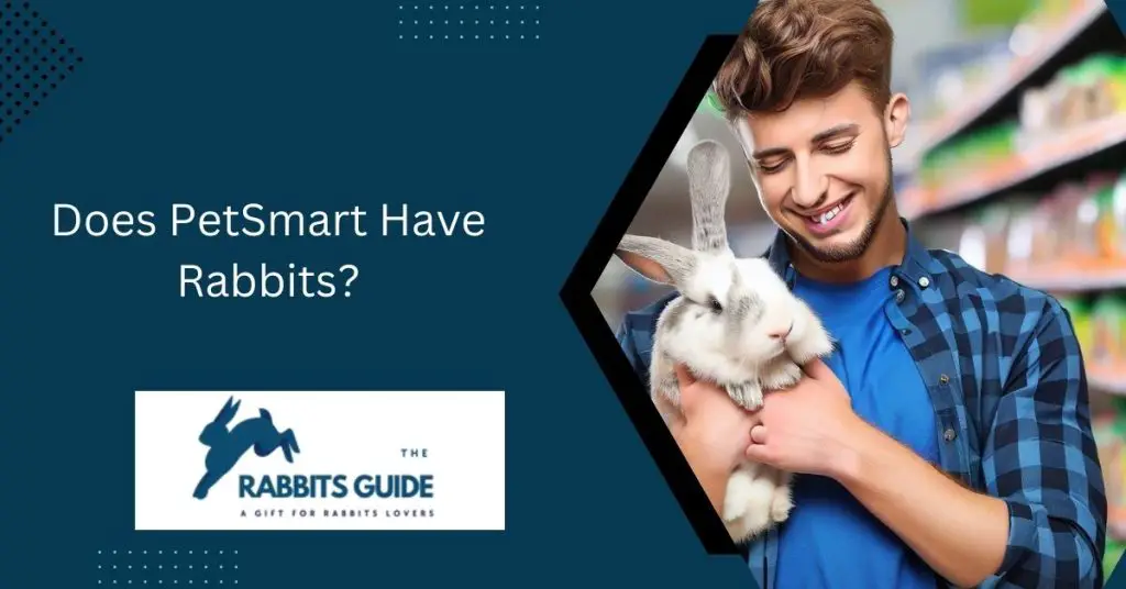 Does PetSmart Have Rabbits? 1 Does PetSmart Have Rabbits