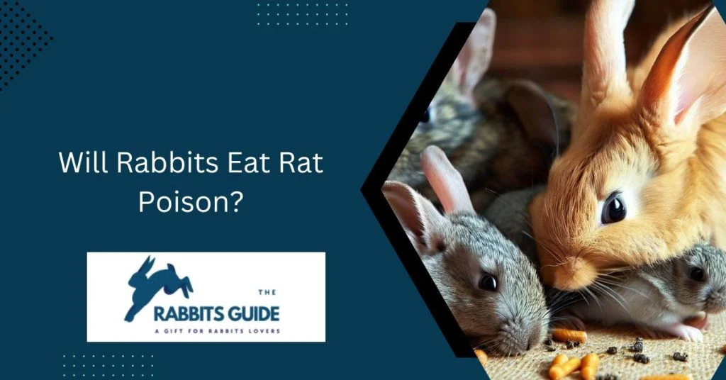Will Rabbits Eat Rat Poison?
