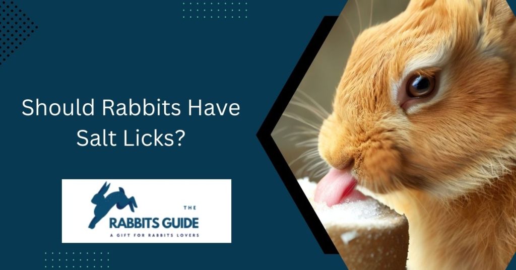 Should Rabbits Have Salt Licks? 1 Should Rabbits Have Salt Licks?