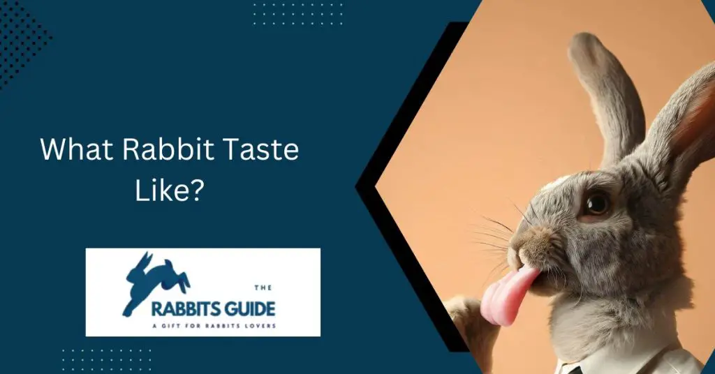 What Rabbit Taste Like?_A Comprehensive Guide 1 What Rabbit Taste Like?