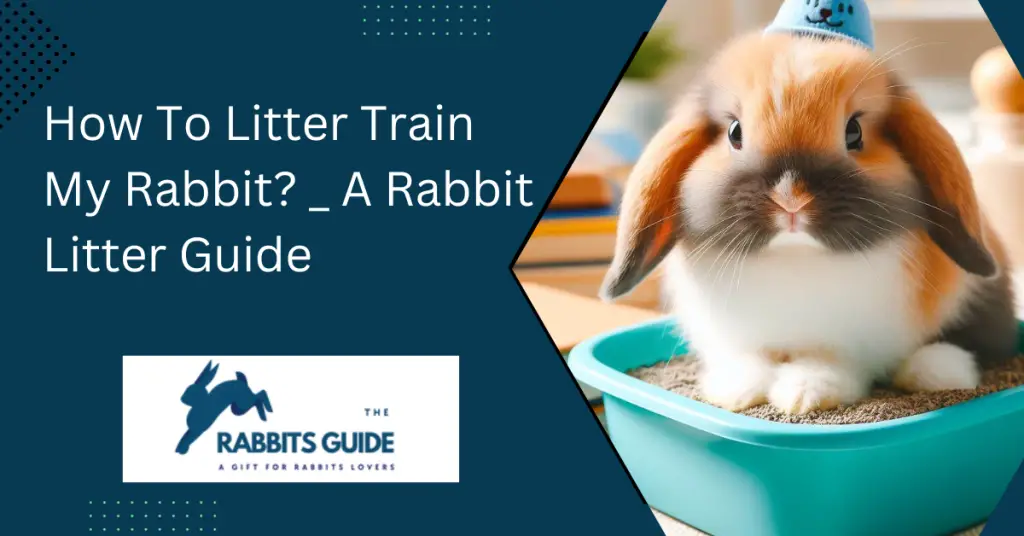 How To Litter Train My Rabbit? _ A Rabbit Litter Guide