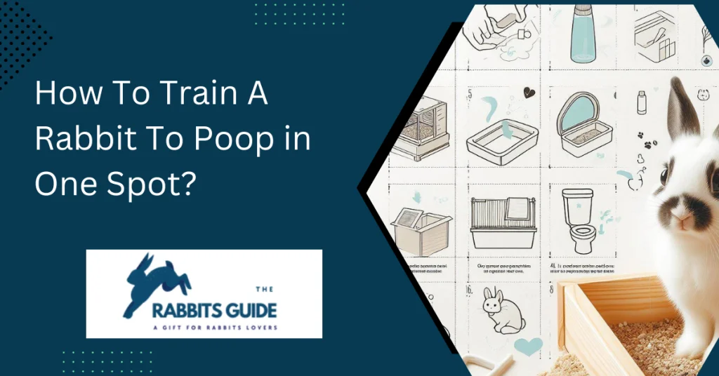 How To Train A Rabbit To Poop in One Spot? 1 How To Train A Rabbit To Poop in One Spot?